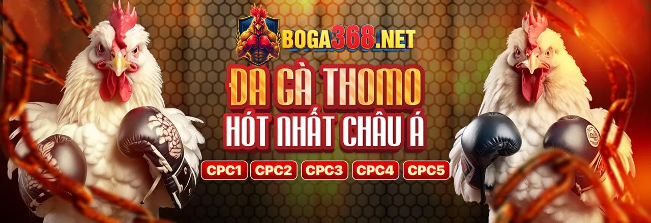 Cài đặt quyền riêng tư và quản lý cookie
